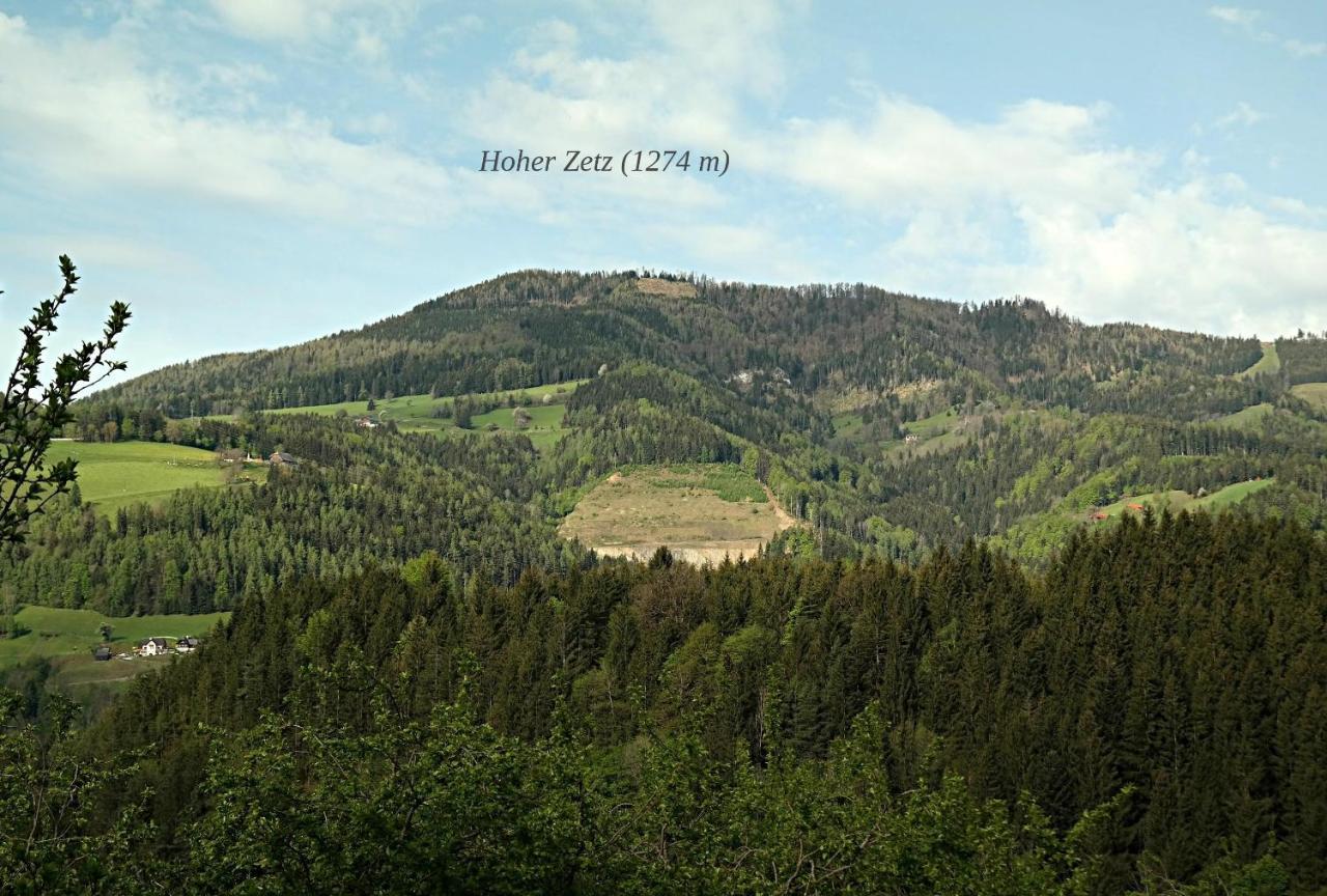 Ferienwohnungen Raczkowski Birkfeld Esterno foto