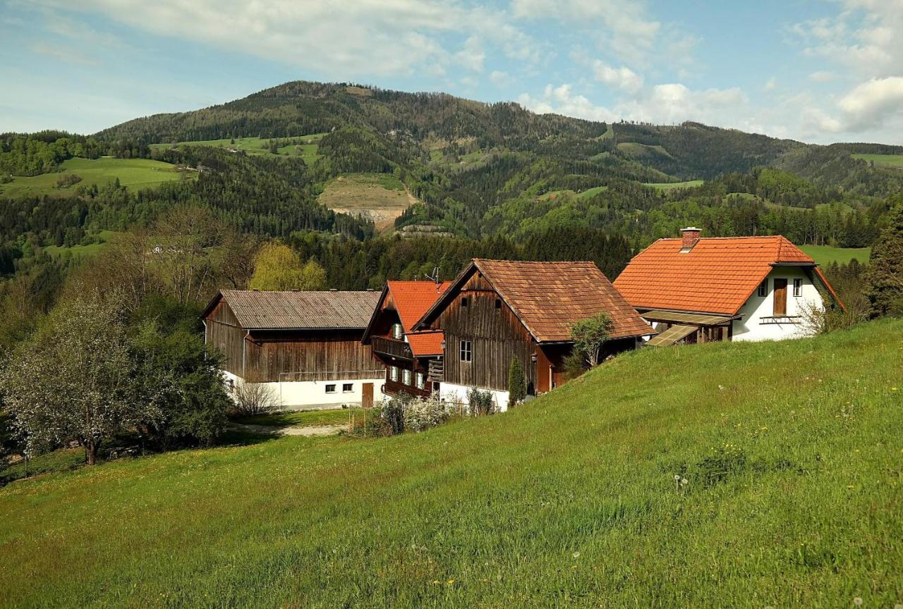Ferienwohnungen Raczkowski Birkfeld Esterno foto