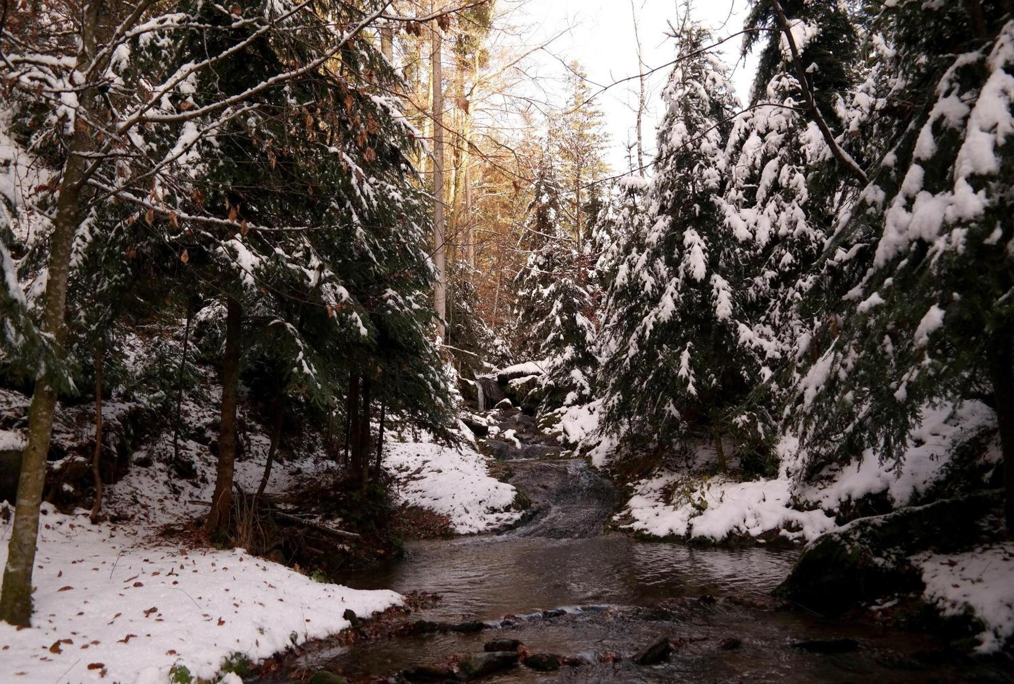 Ferienwohnungen Raczkowski Birkfeld Esterno foto