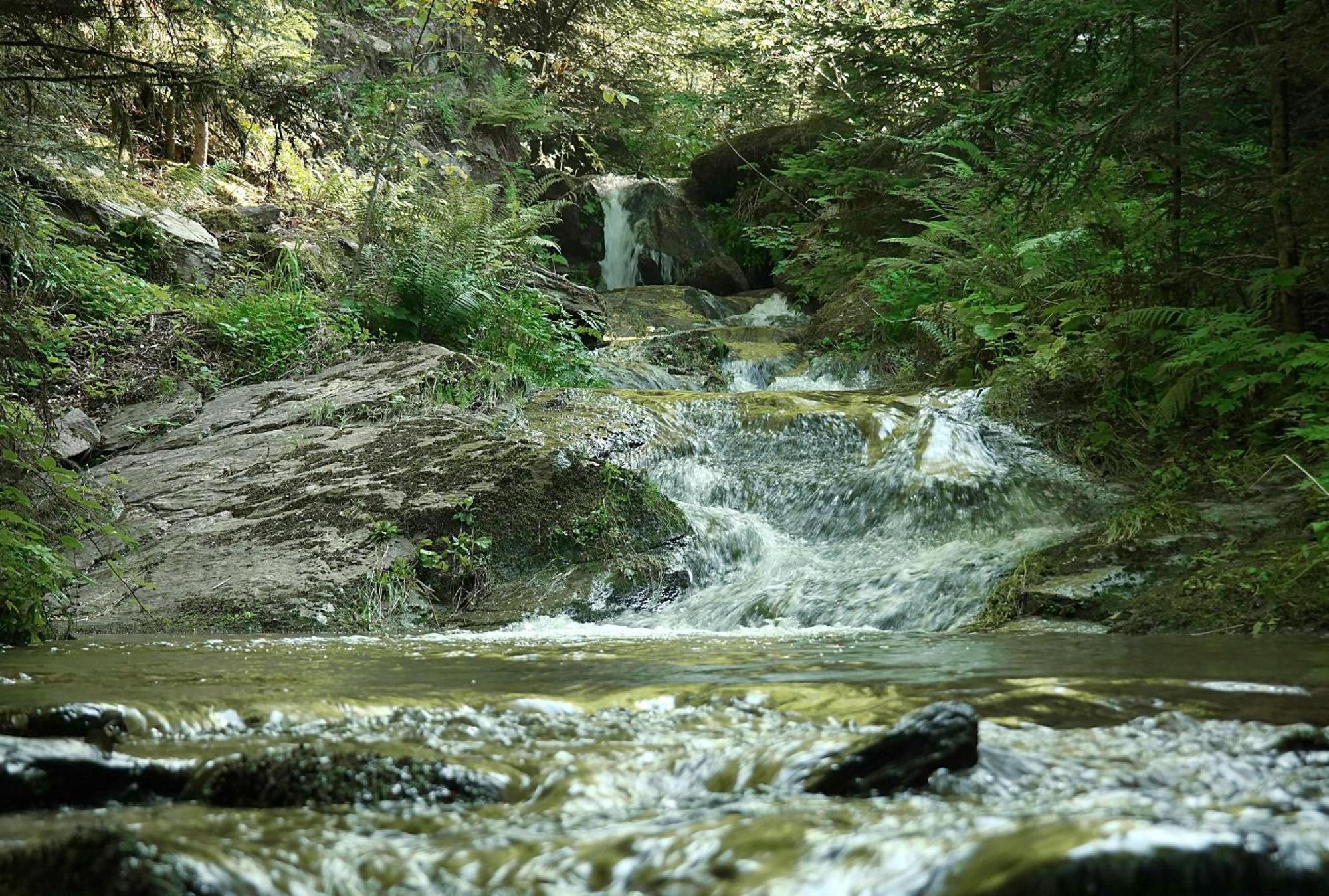 Ferienwohnungen Raczkowski Birkfeld Esterno foto
